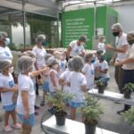 Colonia-de-ferias-BeGreen