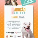 Amidog DMM