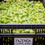 Fazenda Cervejeira