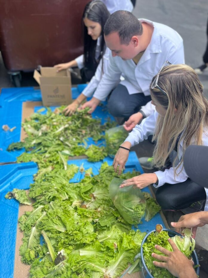 Parceria entre Centerminas e UNA transforma lixo orgânico em fertilizante natural através da compostagem