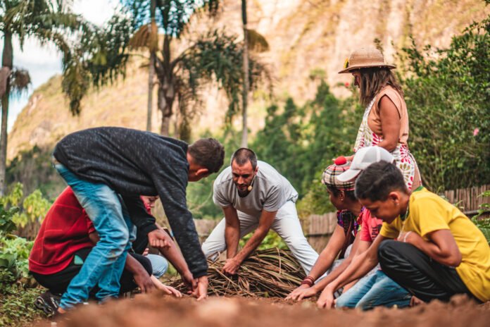 2ª edição do Festival Online Porteiras Abertas resgata tradições da culinária mineira e propõe reflexões sobre a alimentação