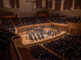 Neste domingo, Filarmônica de Minas Gerais destaca os pilares da música na série Concertos para a Juventude