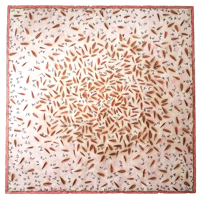 Raspas e restos nos interessam