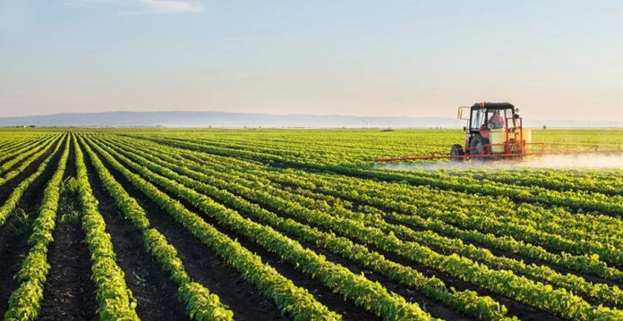 Com projeto inovador da Cemig, Epamig e CPQD, produtores rurais poderão cultivar embaixo de usinas solares