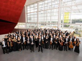 Filarmônica de Minas Gerais apresenta a fantástica fábrica de violinos e violas nos concertos para a juventude deste domingo, dia 17 de maio, às 11h.