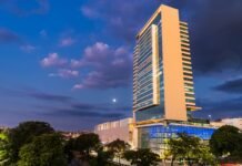 Patrulha Canina chega ao Boulevard Shopping com circuito interativo inspirado na Baía da Aventura