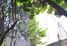 CMI/Secovi-MG promove evento sobre moda consciente em comemoração ao Dia Internacional da Mulher