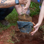 Foto – 2ª Virada Ambiental