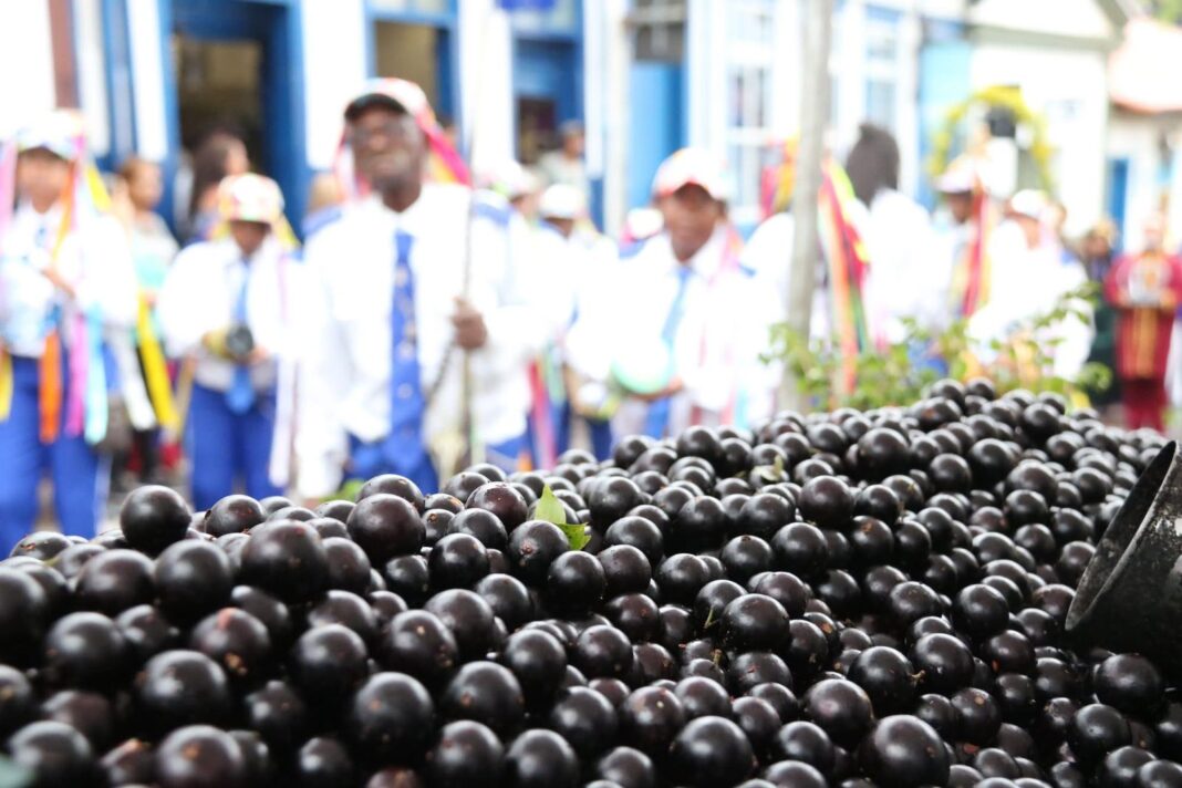 39º Festival da Jabuticaba movimenta Sabará