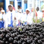 39º Festival da Jabuticaba movimenta Sabará