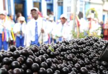39º Festival da Jabuticaba movimenta Sabará