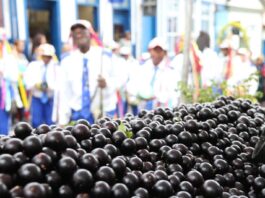 39º Festival da Jabuticaba movimenta Sabará