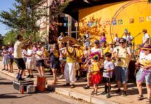 Carnaval do Vale do Sol celebra aves do Cerrado e Mata Atlântica com folia sustentável e inclusiva