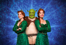 Shrek reúne 15 marcas aliadas para montagem em São Paulo