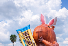 Capivara gigante chama atenção na Lagoa dos Ingleses