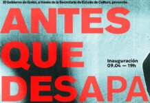 Arte contemporânea brasileira conquista destaque na Universidade de Oviedo com a exposição “Antes que Desapareça”