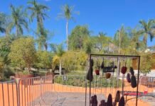 Experiência gastronômica all inclusive com costela na brasa, chopp liberado e lazer completo movimenta resort a 55 km de Belo Horizonte