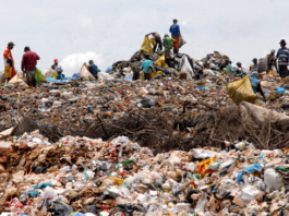 Nesta quarta, Prefeitura anuncia Plano de Ação Climática para BH