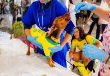 UNIVERSO PET INVADE VENDA NOVA