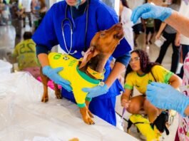 UNIVERSO PET INVADE VENDA NOVA