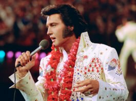 Elvis Presley chega ao Brasil em concertos e exposição que visitarão diversas capitais