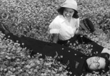 Cine Humberto Mauro realiza mostra com a filmografia completa de Akira Kurosawa, até 16 de agosto