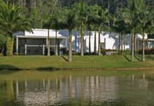 Inhotim em um dia: roteiro combina arte, natureza e gastronomia e ainda permite aproveitar Belo Horizonte na mesma viagem