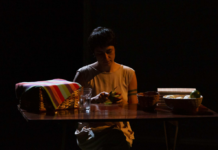 Festival SESI em Cena apresenta reflexão sobre maternidade, luto e memória