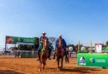 Belo Horizonte recebe a 46ª Exposição Nacional do Cavalo Campolina com entrada gratuita, shows e lazer para a família