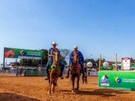 Belo Horizonte recebe a 46ª Exposição Nacional do Cavalo Campolina com entrada gratuita, shows e lazer para a família