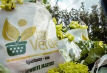 Programa Cesta Verde ultrapassa a marca de 400 mil cestas de alimentos distribuídas em Minas Gerais