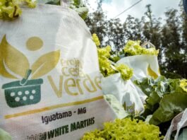 Programa Cesta Verde ultrapassa a marca de 400 mil cestas de alimentos distribuídas em Minas Gerais
