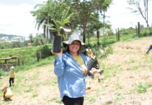 Caminhada Ambiental de Sarzedo acontece no dia 19 de setembro