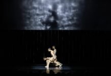 Ministério da Cultura e Petrobras apresentam: Bodas, com a Focus Cia de Dança, no Sesc Palladium(BH)