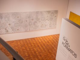 “Arte em Grandes Formatos” explora relações entre pintura, corpo e espaço no Museu Inimá de Paula