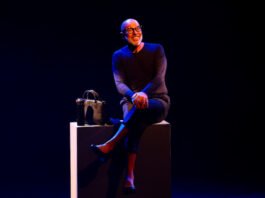 6 a 8/11 – “Hannah Arendt – Uma Aula Magna”, com Eduardo Wotzik no Cine Brasil
