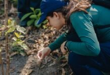Projetos de recuperação de áreas degradadas unem compromisso ambiental e formação acadêmica