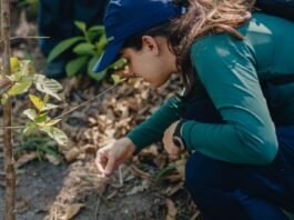 Projetos de recuperação de áreas degradadas unem compromisso ambiental e formação acadêmica